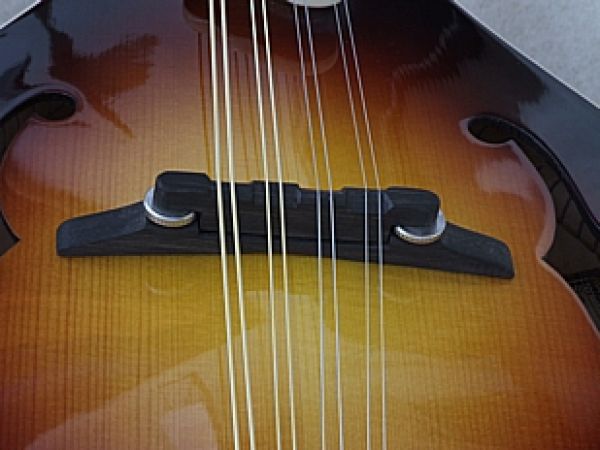 Mandolína