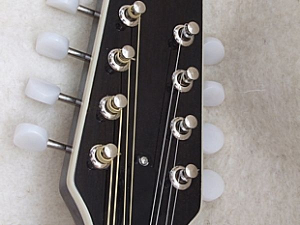Mandolína