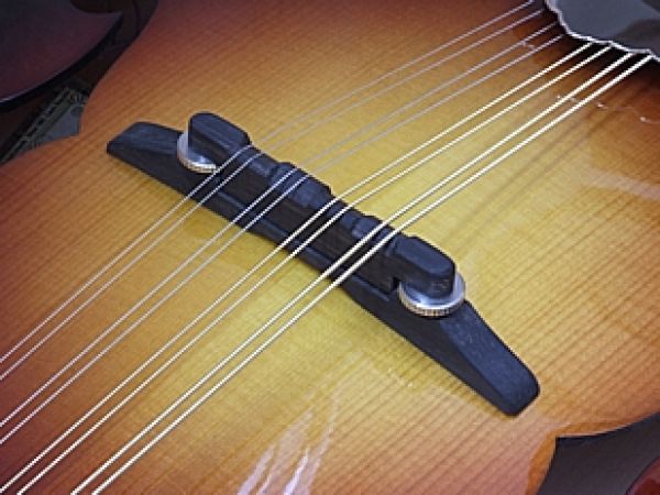 Mandolína
