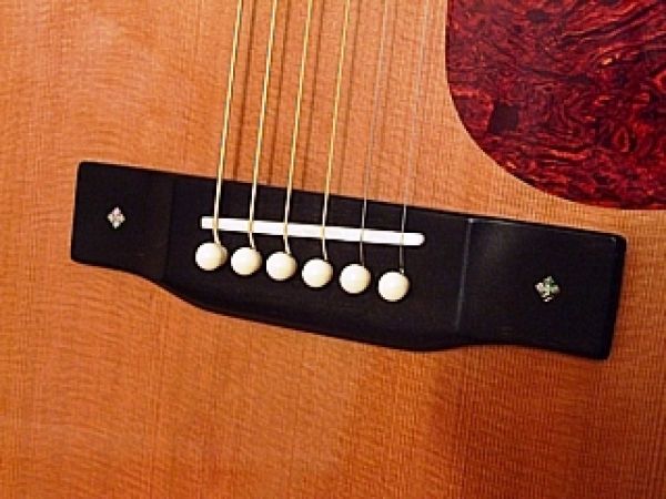 Kobylka