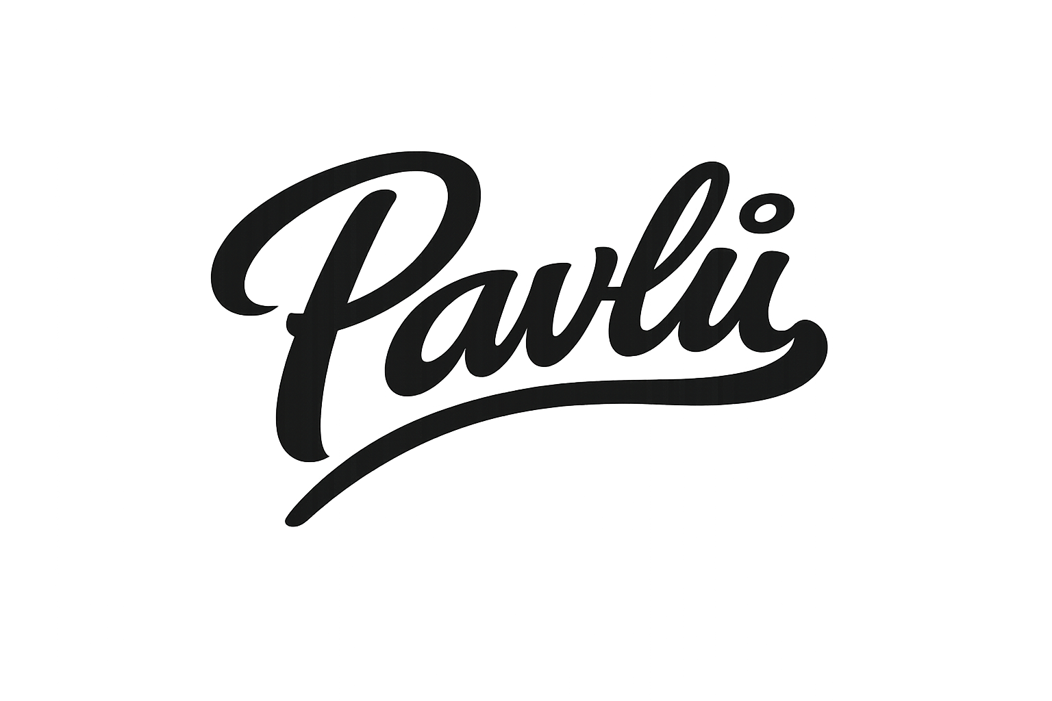Pavlů Guitars