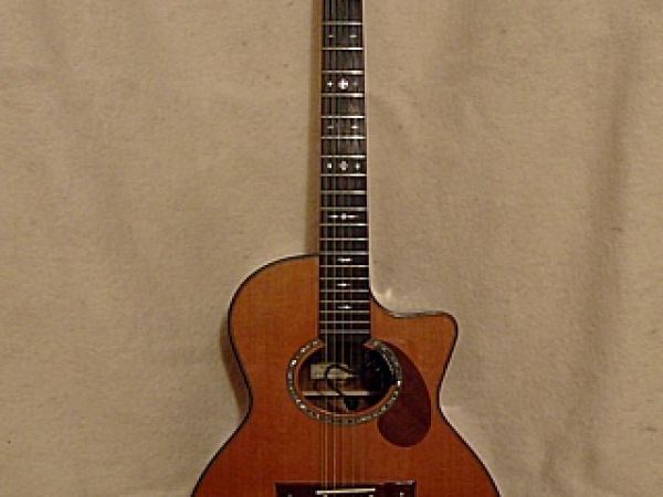 Jumbo Cutaway DeLuxe - dvanáctistrunná polomasiv
