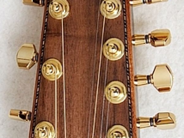 Jumbo Cutaway - Devítistrunná polomasiv