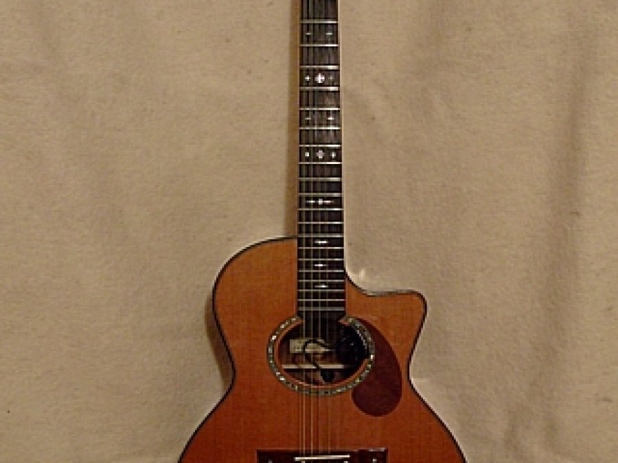 Jumbo Cutaway DeLuxe - dvanáctistrunná polomasiv