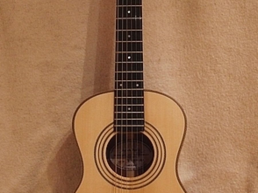 Parlor Kytara - Celomasiv